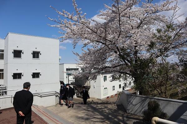 東北学院榴ヶ岡高等学校外観画像