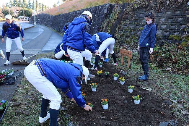 https://www.tutuji.tohoku-gakuin.ac.jp/info/content/t201201_7.jpg